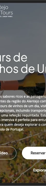 Alentejo Viti Tours Branding Web Mobile 6A